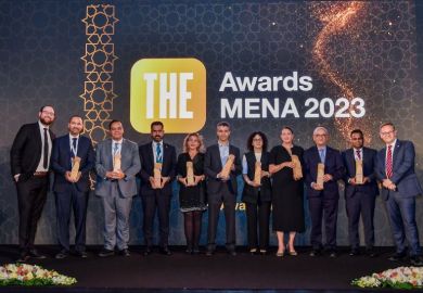 THE Awards MENA 2023 winners