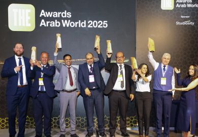 THE Awards Arab World 2025 winners