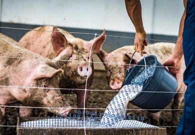 Binary code being poured from a bucket into a pig trough. To illustrate AI slop. Binary code being poured from a bucket into a pig trough. To illustrate AI slop.