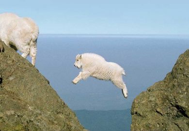 Baby mountain goat jumping a gap