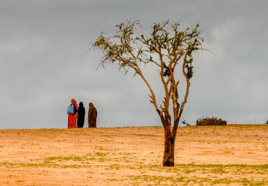 The barren land is taken over by the Sahara desert in Chad, where farmers and herders are pitted against each other over diminishing pasture and resources. As an illustration of how UK cuts to research aid will harm it's reputation
