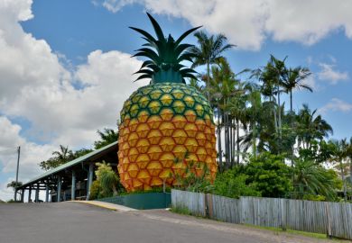 Big Pineapple in Woombye Big Pineapple in Woombye