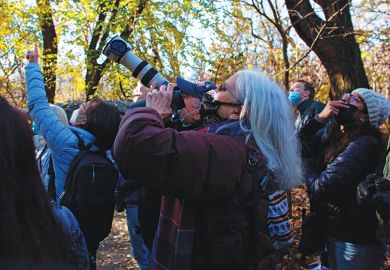 Bird watchers use binoculars and cameras to see a Great Horned Owl  in Central Park as an example of citizen science