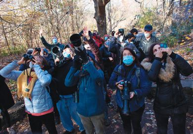 Birdwatchers illustrating community-led research