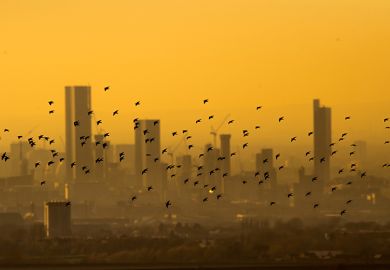 Starlings fly past the Manchester skyline as the sun begins to set. To illustrate regions working together on research funding bids Starlings fly past the Manchester skyline as the sun begins to set. To illustrate regions working together on research funding bids