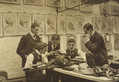 The interior of a dissecting room: five students and/or teachers dissect a cadaver The interior of a dissecting room: five students and/or teachers dissect a cadaver