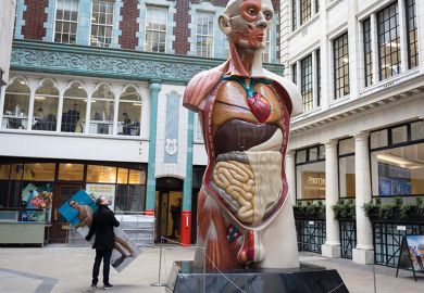 Sculpture of medical model showing human internal organs to illustrate Is dissection dying at medical schools? 