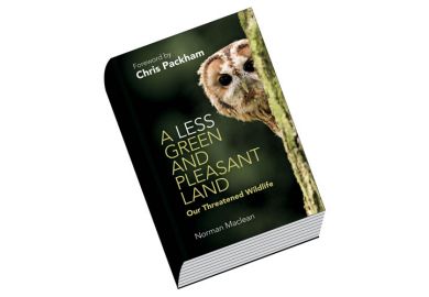 Book review: A Less Green and Pleasant Land, by Norman Maclean