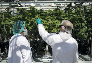 Cannabis farm Mississippi