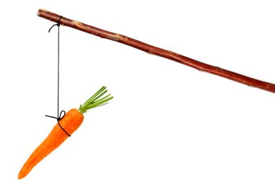 Carrot on stick