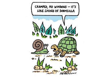 Cartoon for Week in HE for 5 January 2023