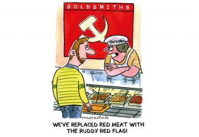 Cartoon for Week in HE