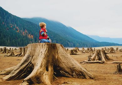 Boy kneels on tree stump