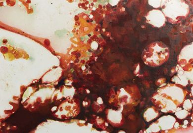 Close-up image of bone marrow