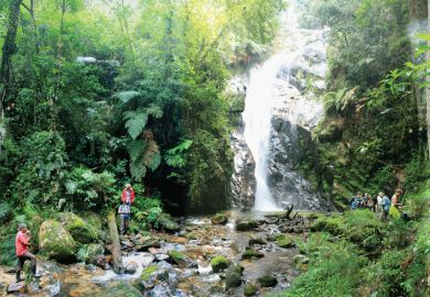 Conservationists working near waterfall
