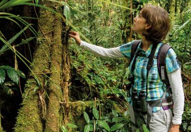 cristina_banks cristina_banks