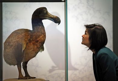 Dodo in glass case