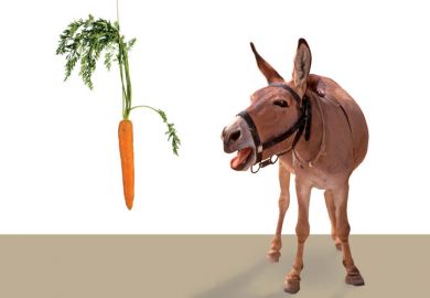 Donkey being led by carrot Donkey being led by carrot