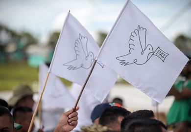 Doves of peace flag