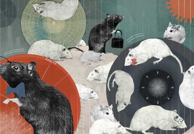 Eleanor Shakespeare illustration (5 January 2017)