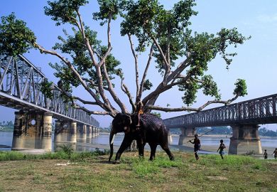 Elephant, with tree branches, on the confluence of river Ganges and Gandak at Sonpur in Bihar, India. To illustrate branch campuses in India. Elephant, with tree branches, on the confluence of river Ganges and Gandak at Sonpur in Bihar, India. To illustrate branch campuses in India.