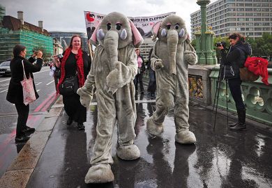 elephants march elephants march