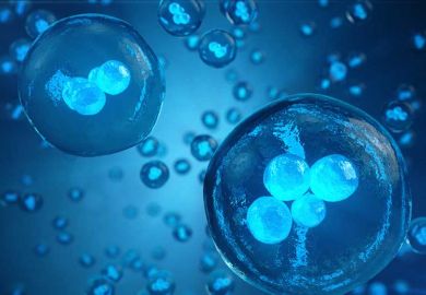 embryo-cells embryo-cells