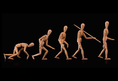 Evolution of humans (wood figurines)
