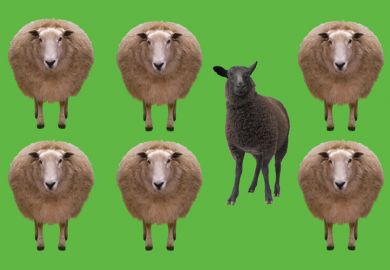 Feature illustration (3 September 2015) Feature illustration (3 September 2015)