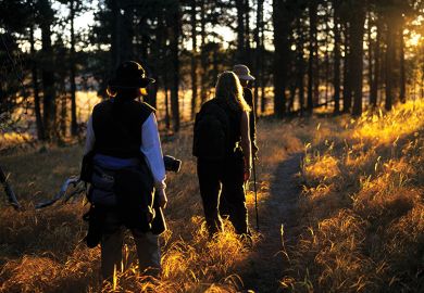 People walking through a wood at sunset People walking through a wood at sunset illustrating fieldwork