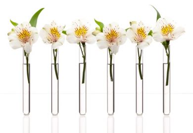 Flowers in a test tube
