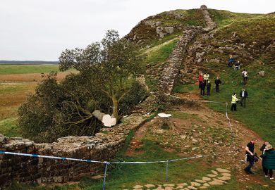 Cordoned-off area where the 'Sycamore Gap' tree on Hadrian's Wall once stood, northern England