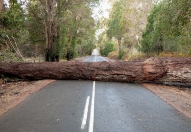Following a storm, a large tree trunk blocking access on a road in Western Australia