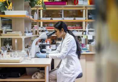 Women are entering higher education at increasing rate in India Women are entering higher education at increasing rate in India