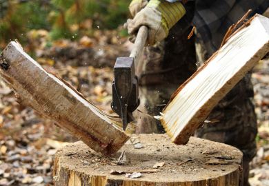 splitting campfire wood