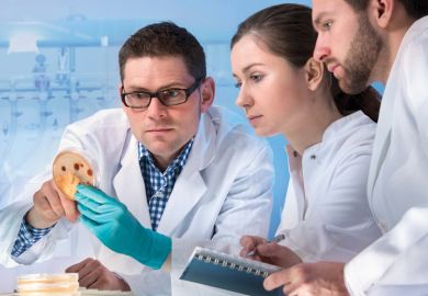 Group of scientists working in laboratory Group of scientists working in laboratory