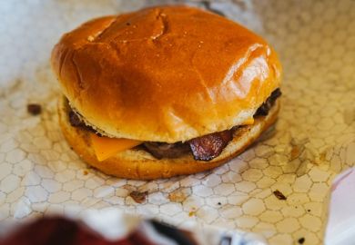 A rubbish-looking hamburger