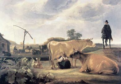 historic-cows