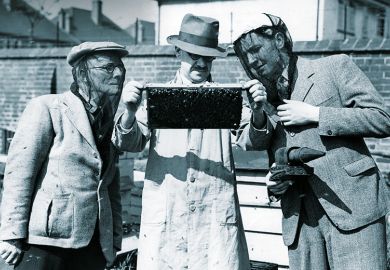 Beekeepers Beekeepers