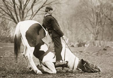 Man tries to control obstinate horse