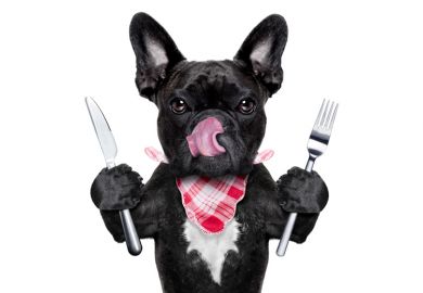 Hungry dog holding knife and fork Hungry dog holding knife and fork