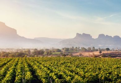 Indian vineyards