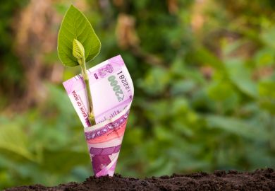 A green shoot with an Indian banknote wrapped around it illustrating funding for liberal arts in India