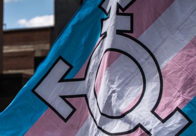 trans flag trans flag