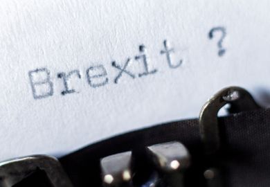 Brexit: the process that must not be named