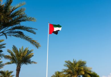 UAE flag in the wind