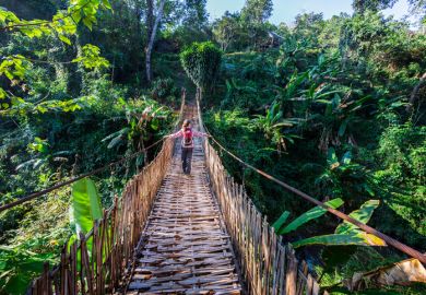 Tropical jungle Tropical jungle