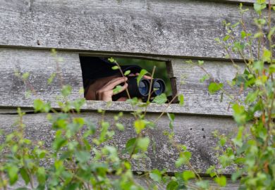 Westerhaar-Vriezenveensewijk, Twenterand, Overijssel, June 6th 2022, close-up of a young 28 year old woman watching birds with a binocular through a hole in a wooden bird hide at sunset at the natural monument “Engbertsdijksvenen”, a large area of wetland