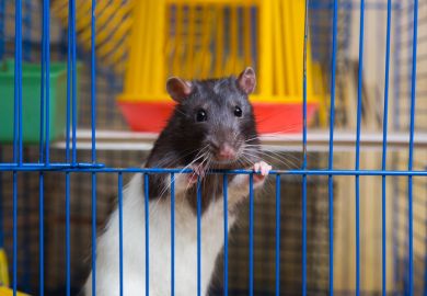 weirdest student accommodation requests.