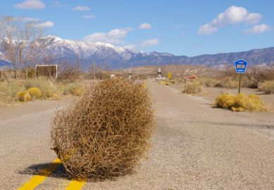 Tumbleweed blows across a desert highway